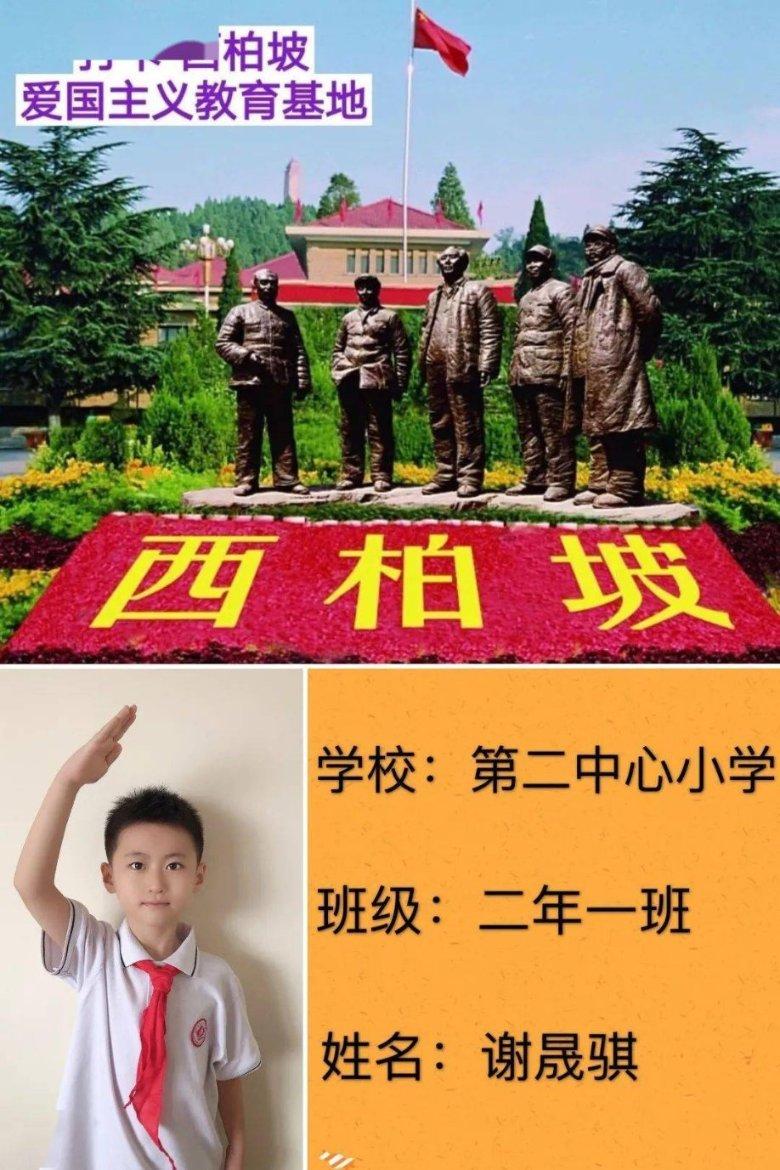 88影视